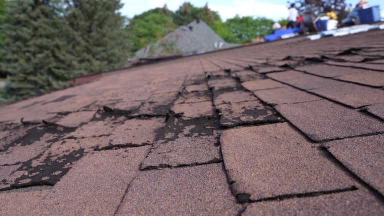 Best Gutter Installation and Repair  in Middletown, DE